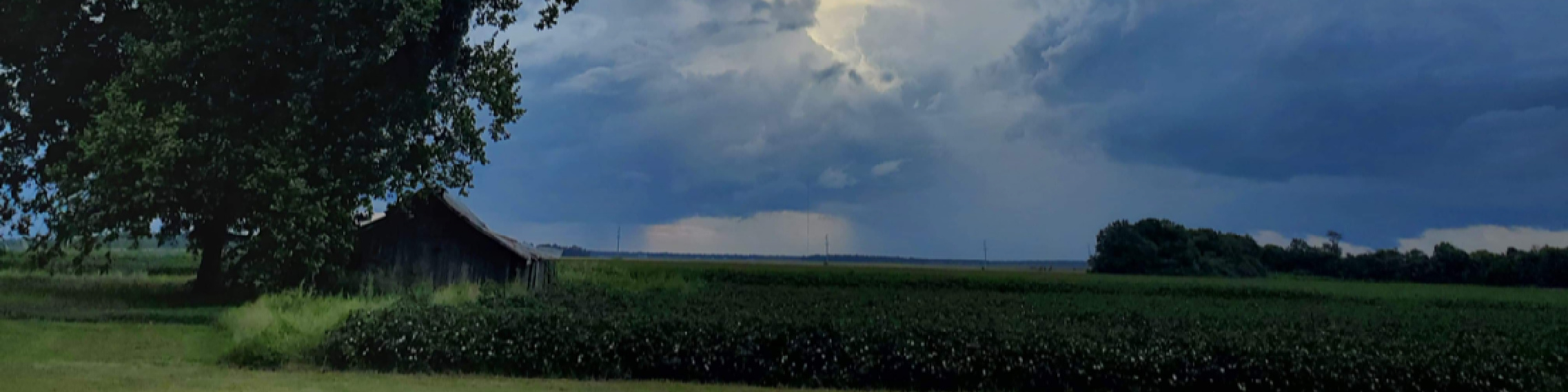 Rain Coming - Garry Makamson Farms